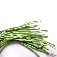 蔬菜名稱:【燎原特惠】新鮮豆角綠色種植綠色無公害蔬菜新鮮青菜順豐
